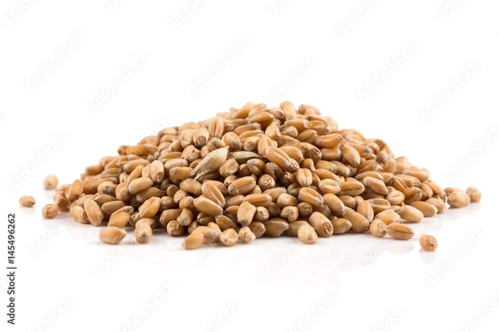 Wheat grain on white Wheat grain on white