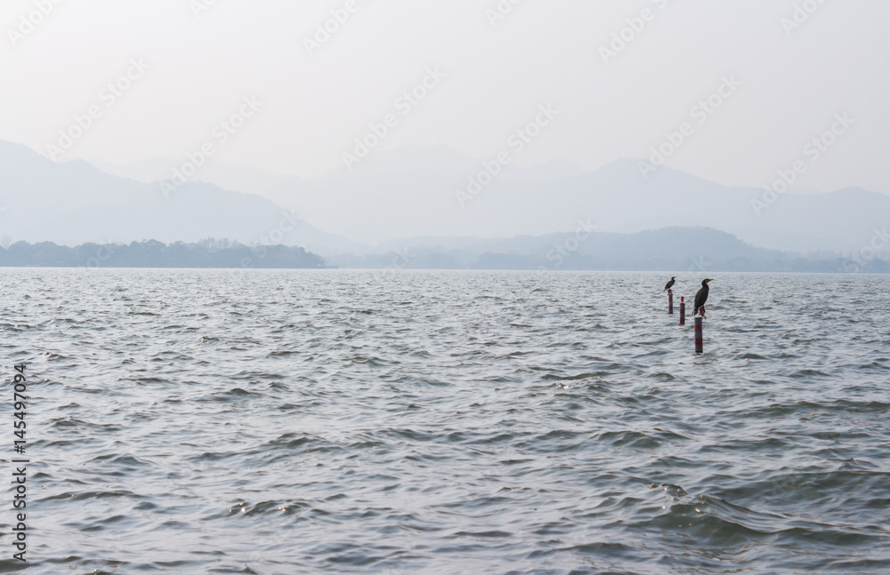 A wide deep blue lake. Blue landscape with a lake, mountains and birds