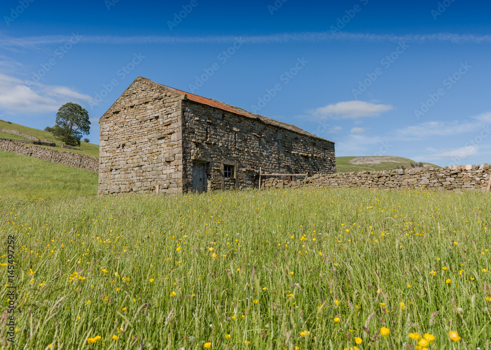 barn in a meadow