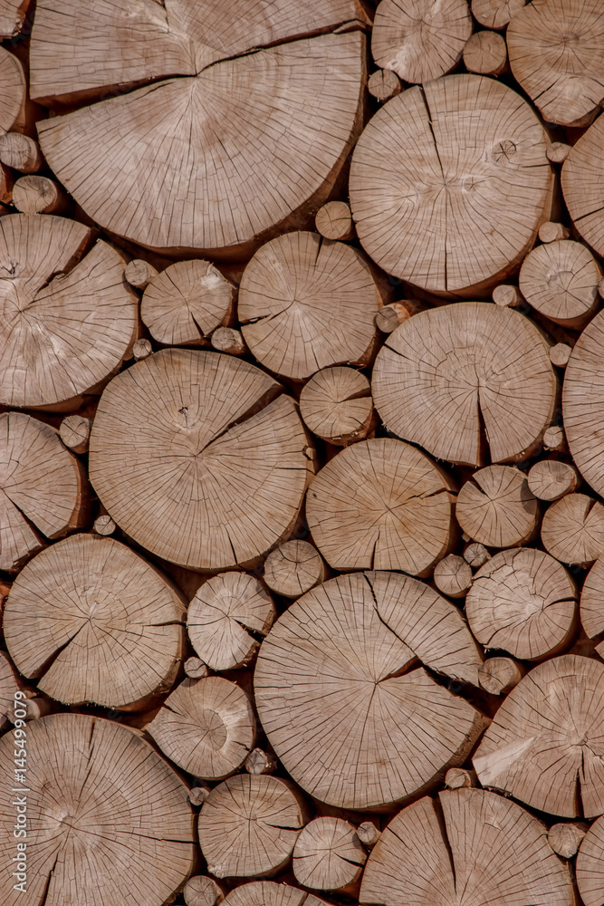 wooden background with round slices wooden background with round slices