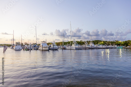 Marina in Coral Gables, Florida photo