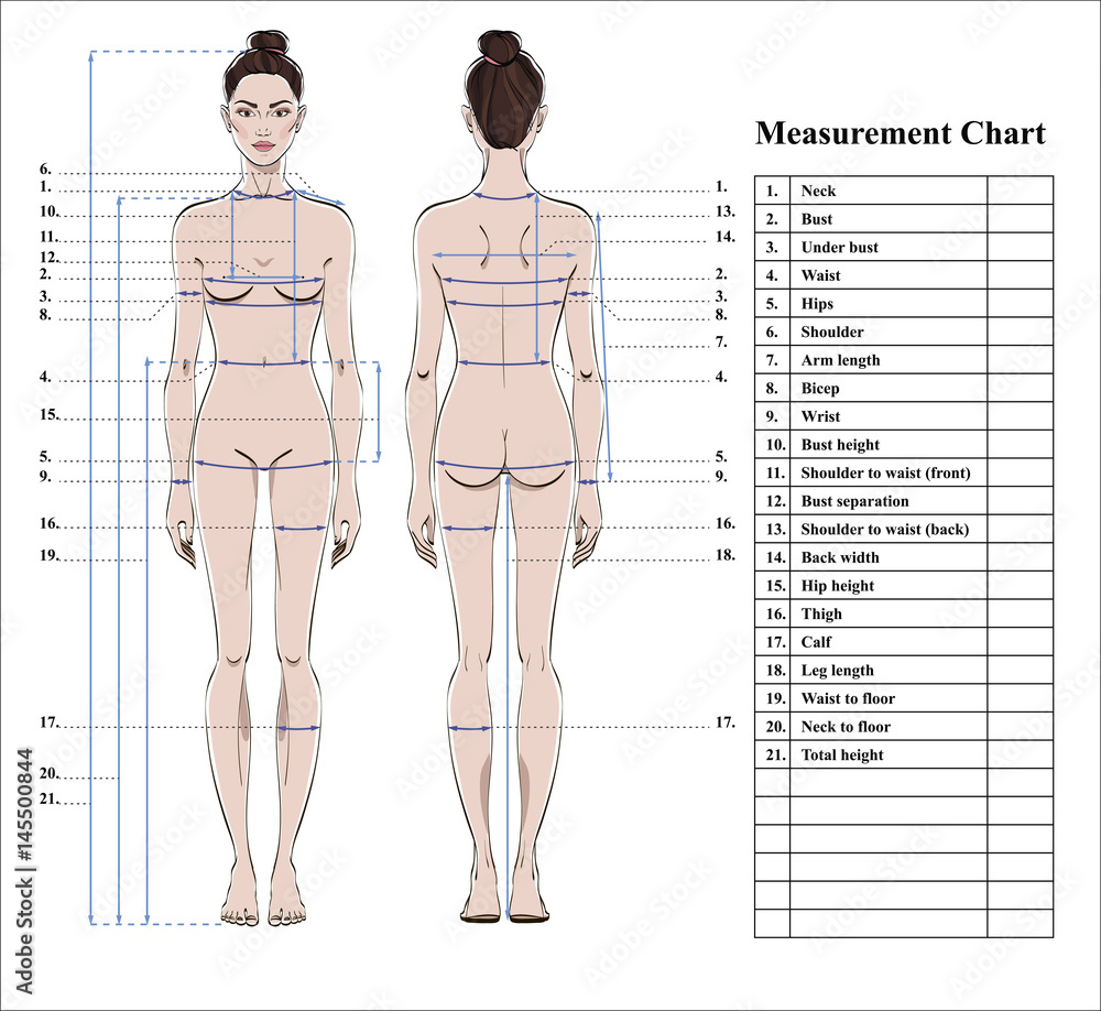 Premium Vector  Woman body measurement chart female figure front and back  views vector
