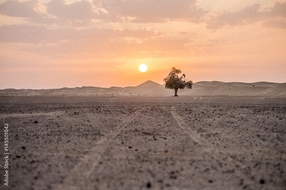 Fototapeta The dawn of the sun in the desert