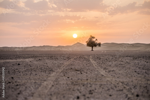The dawn of the sun in the desert