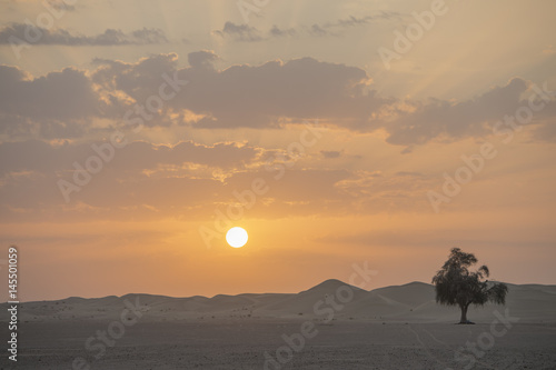 The dawn of the sun in the desert