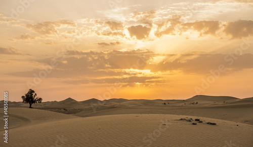 Schilderij op canvas The dawn of the sun in the desert