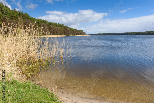 Spring time on the shore of the Golun lake in Kashubia in Poland.