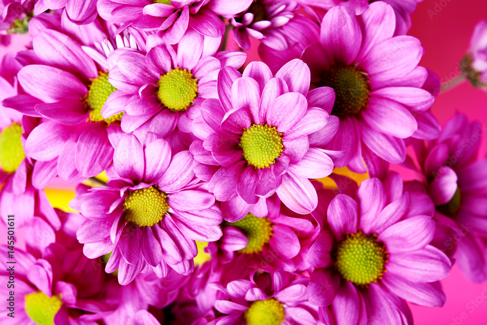 pink flowers close up
