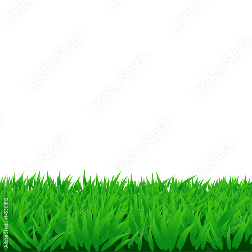 green grass isolated