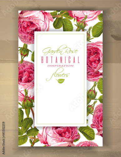 Rose vertical banner