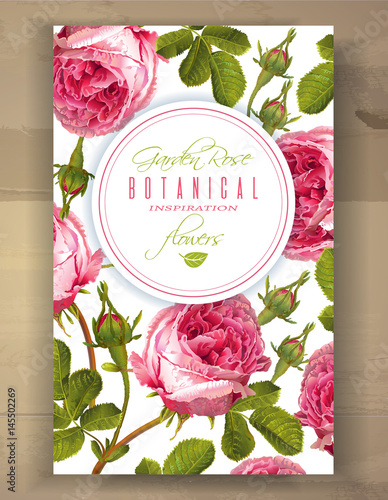 Rose vertical banner