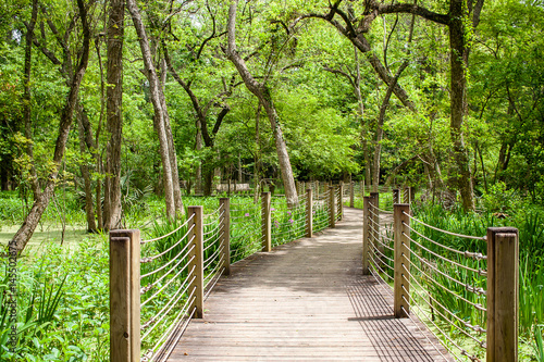 Wooden winding bridge over swamp in park
