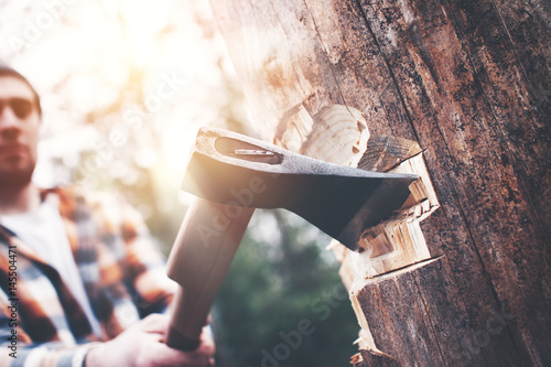Strong lumberjack in a plaid shirt and hat with an ax in his hand chopping a tree in the woods photo