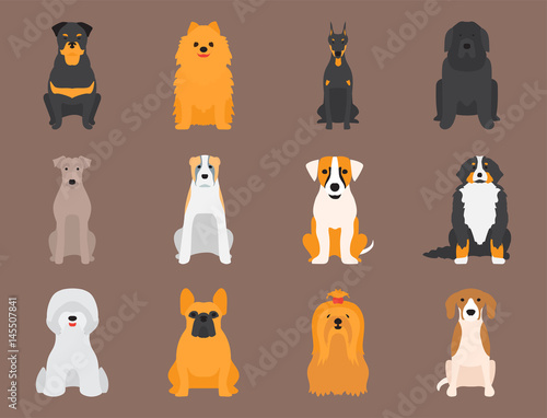 Funny cartoon dog character bread cartoon puppy friendly adorable canine vector illustration.