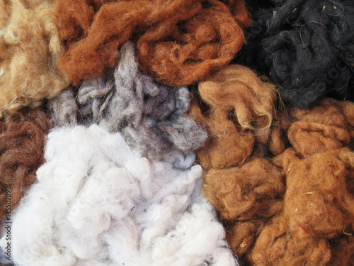Natural dyed wool yarn in the peruvian Andes at Cuzco