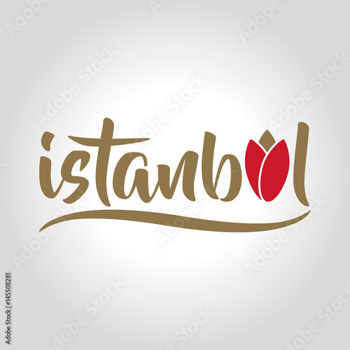 istanbul logo, icon and symbol vector illustration