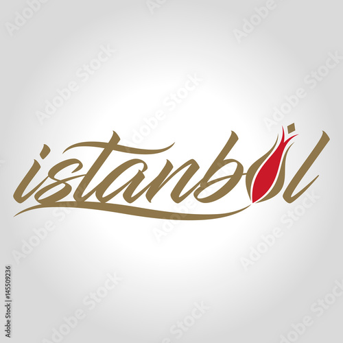 istanbul logo, icon and symbol vector illustration