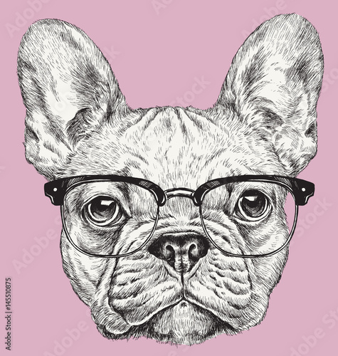 Hipster Geek French Bulldog vector illustration