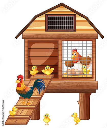 Chicken coop with many chicks