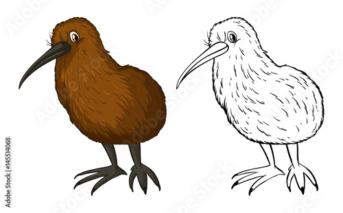 Doodle animal for kiwi bird