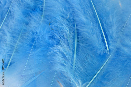 This is a photograph of Blue craft feathers background