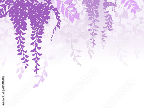 藤の花　ふじ　フジ　和柄