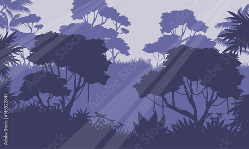 Silhouette of jungle forest scenery