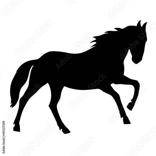 Horse black silhouette