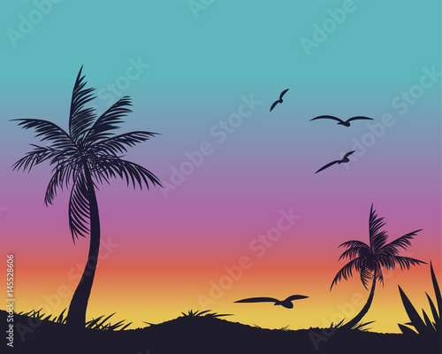 Summer tropical backgrounds set with palms  sky and sunset