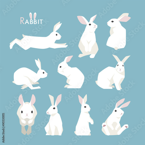 Fotografering rabbit animal vector illustration flat design