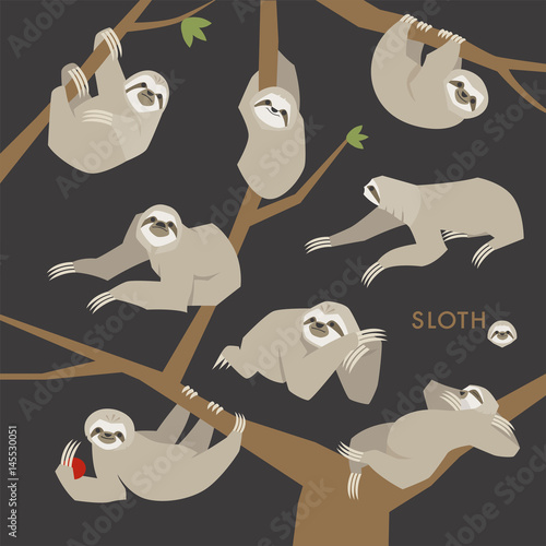 sloth animal vector illustration flat design
