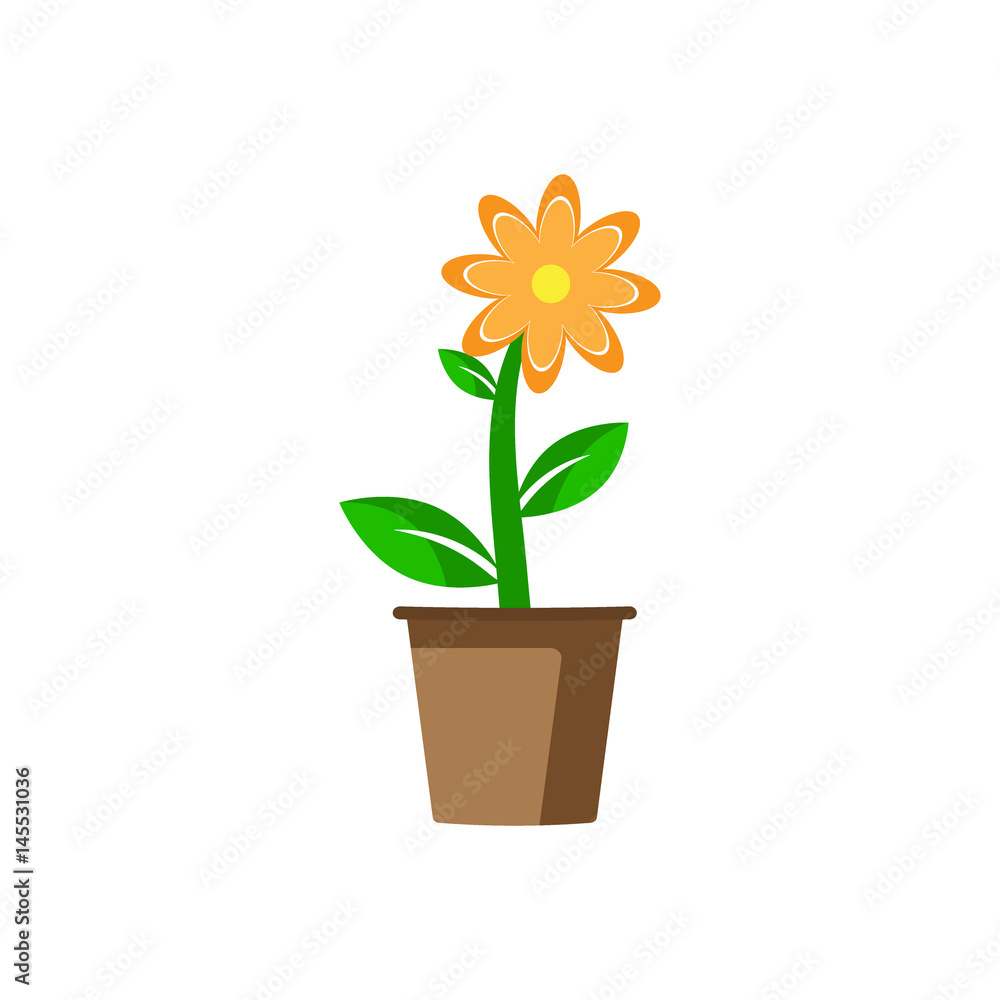 Flower in pot