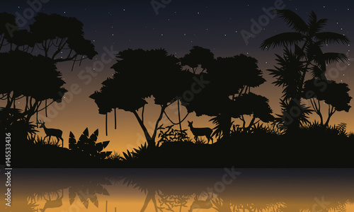 Beauty scenery with jungle silhouettes