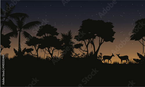 Collection stock jungle scenery of silhouette