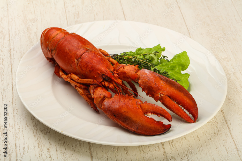 Lobster Lobster