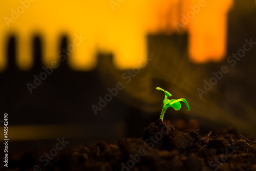 Young green plant in soil on background oil rocking machine photo