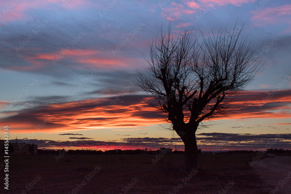 Fototapeta premium Camino Malanoche Albacete
