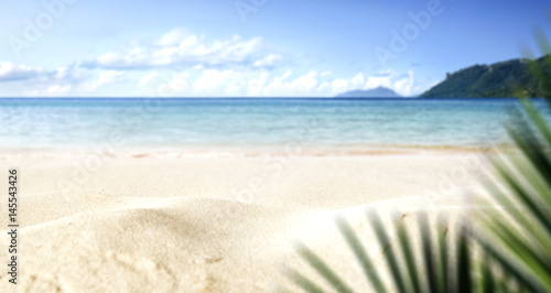 summer background 
