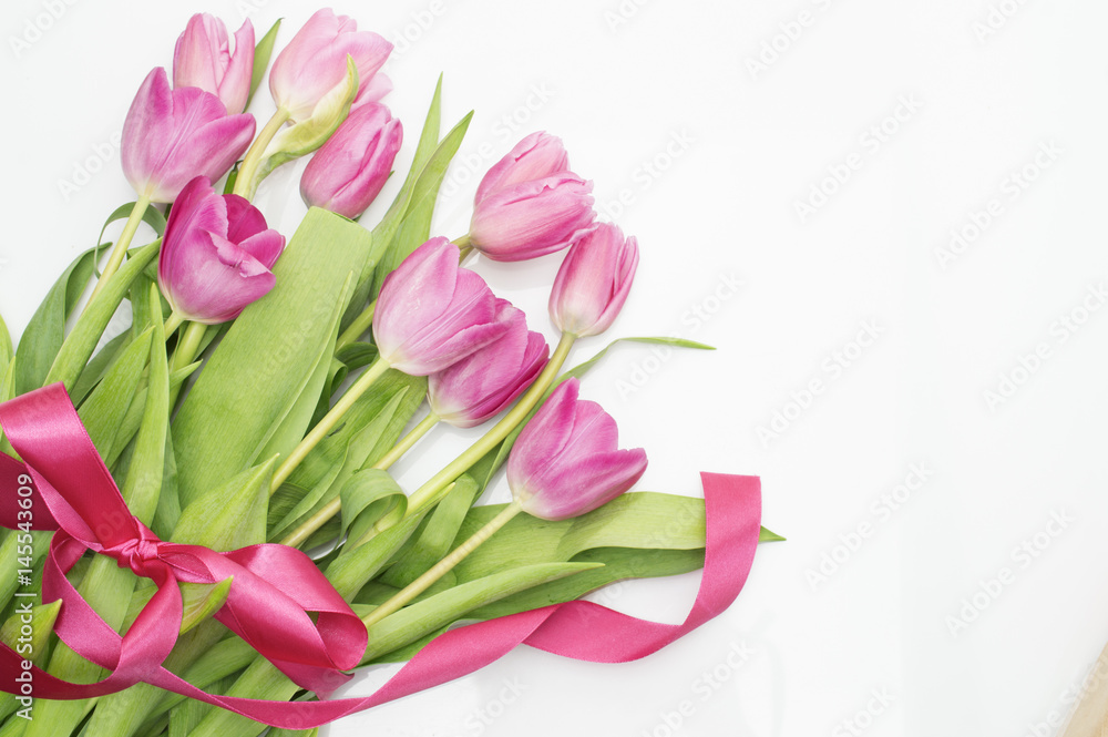 Pink tulips with pink ribbon on a white