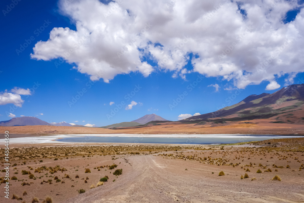 Altiplano laguna in sud Lipez reserva, Bolivia Altiplano laguna in sud Lipez reserva, Bolivia