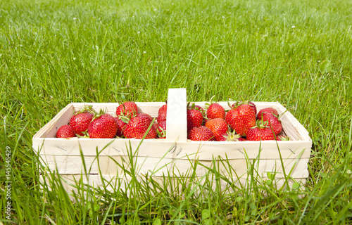 Erdbeeren im Korb