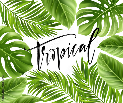 Summer poster with tropical palm leaf and handwriting lettering. Vector illustration