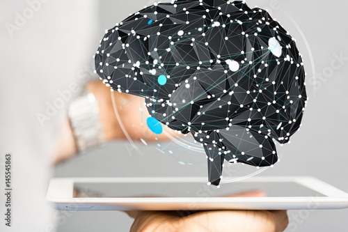 brain network