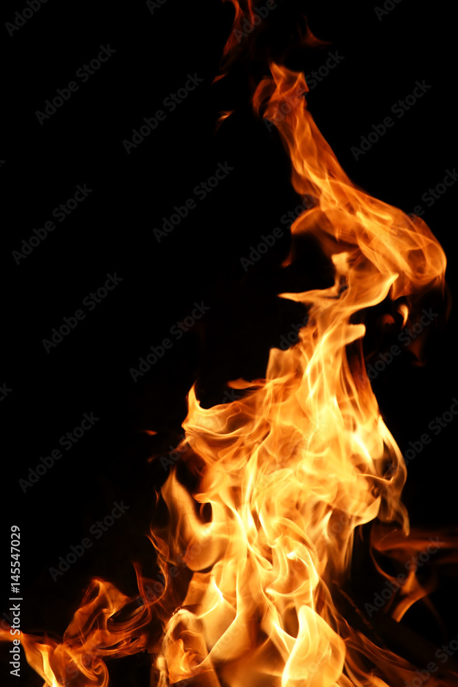 Tongues of flame of fire of orange-yellow color from burning firewood