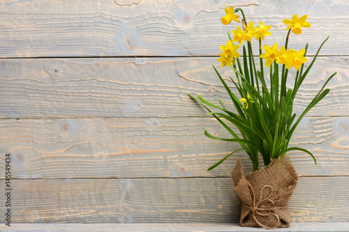 Fototapeta Naklejka Na Ścianę i Meble -  yellow narcissus, spring flower bouquet in burlap for holiday greeting