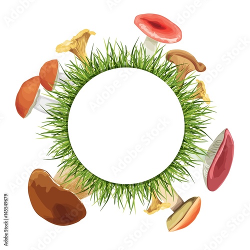 set of nine mushrooms with grass