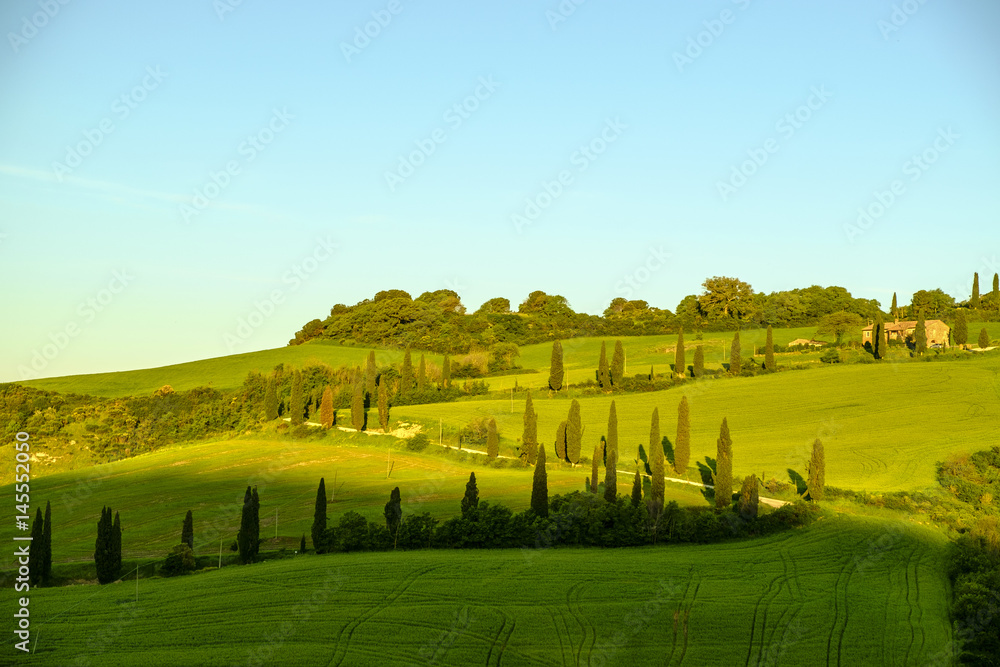 Fototapeta premium Landscape around Montalcino Tuscany