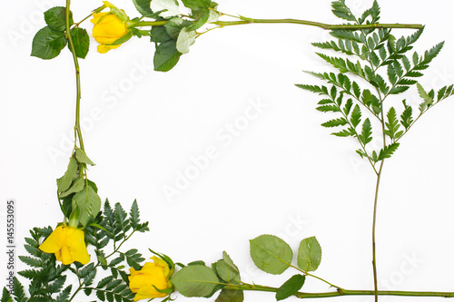 Floral frame with yellow roses and green leaves on white background. Copy space, flatlay, top view. 
