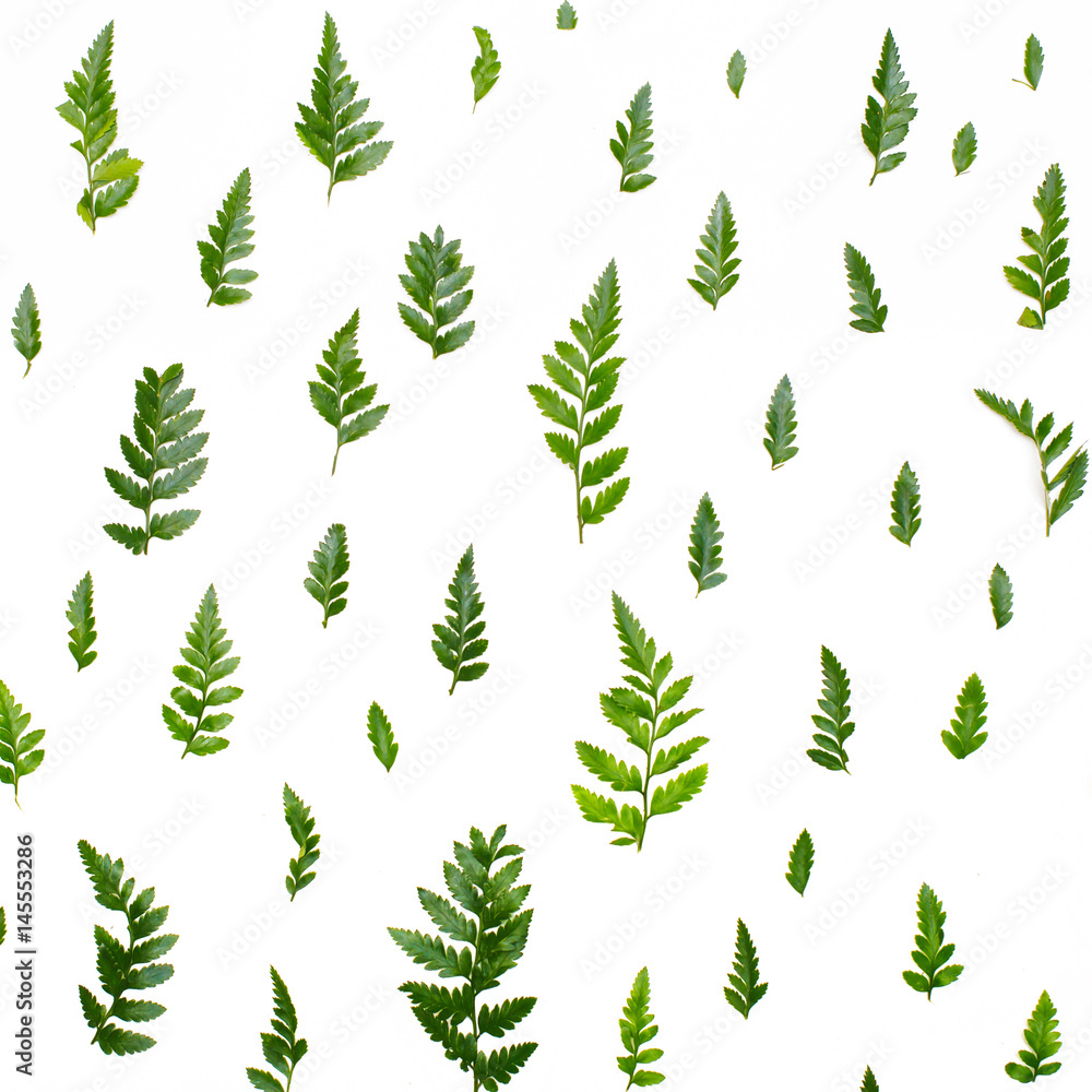 Floral pattern with green leaves on white background. Summer background. Flat lay, top view Floral pattern with green leaves on white background. Summer background. Flat lay, top view