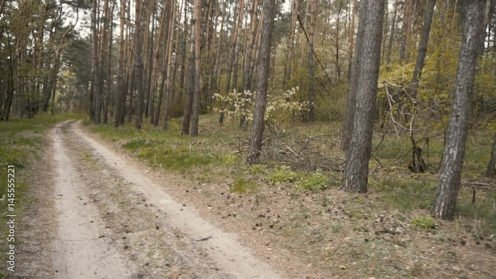 Young man rides the bike down forest sandy road Young man rides the bike down forest sandy road